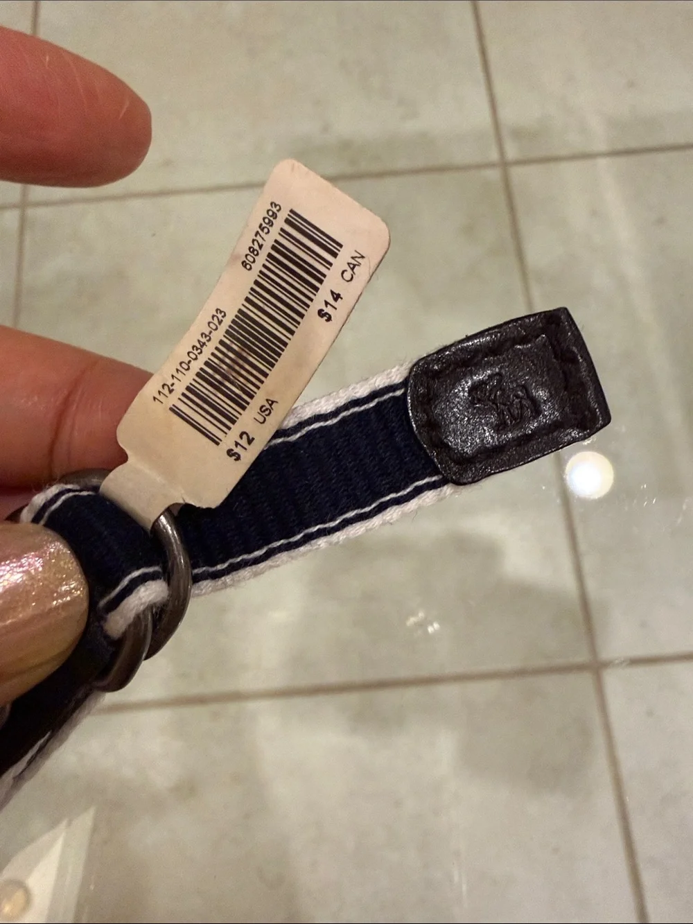 abercrombie kids Navy and White Webbing Belt with Brown Leather Accents
